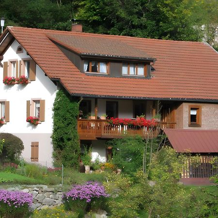 Wohnung Irene Todtnau Zewnętrze zdjęcie